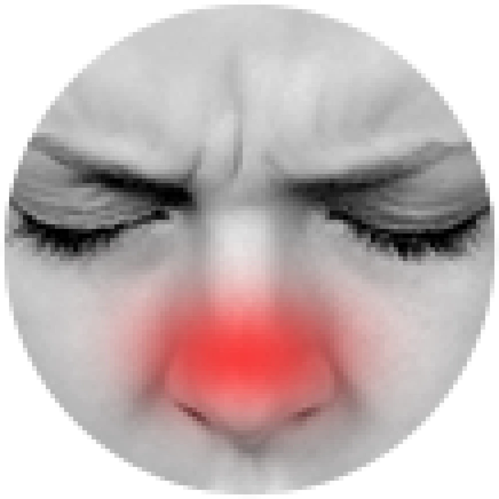 Axe Brand Universal Oil 14ml