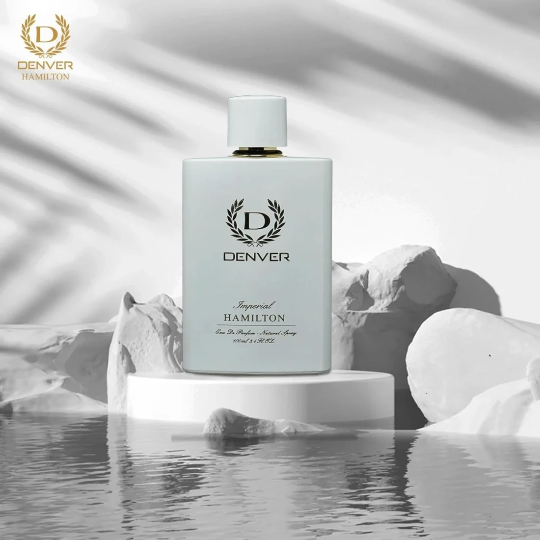 Denver Perfume Insight Eau de Perfume For Men 100ml