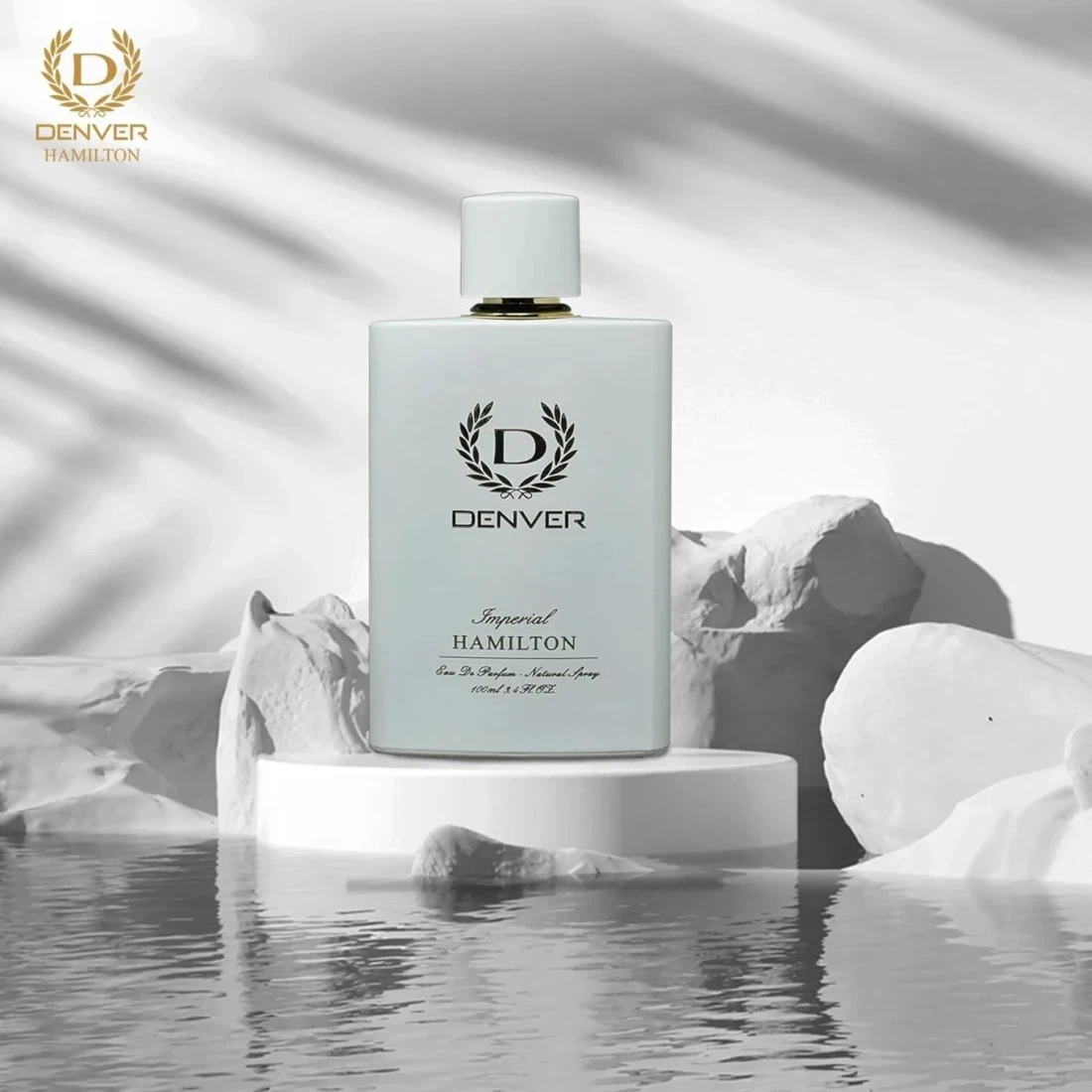 Denver Perfume Insight Eau de Perfume For Men 100ml