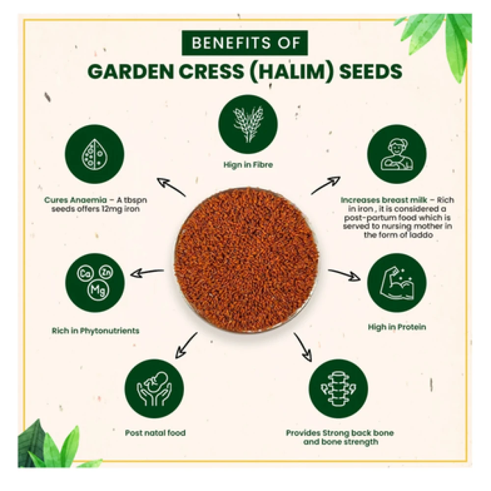 Halim Dana Premium Quality 100gm