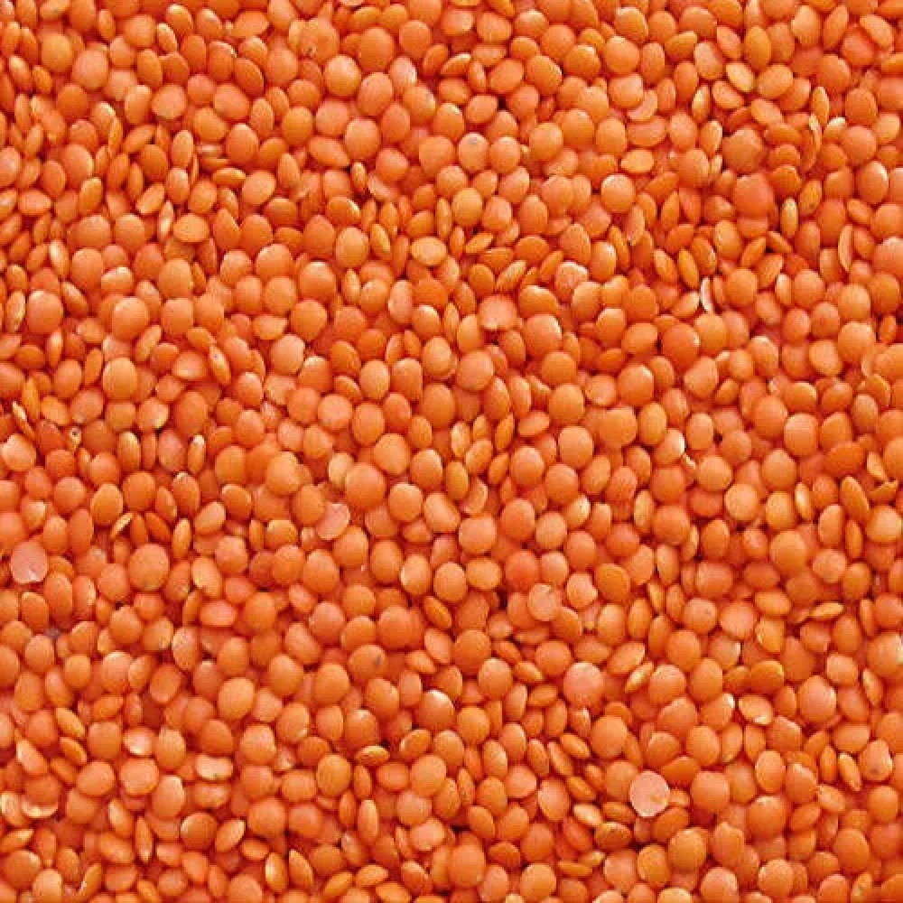 Masoor Dal Mota 500g