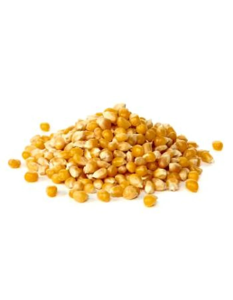 Popcorn Kernels 200g