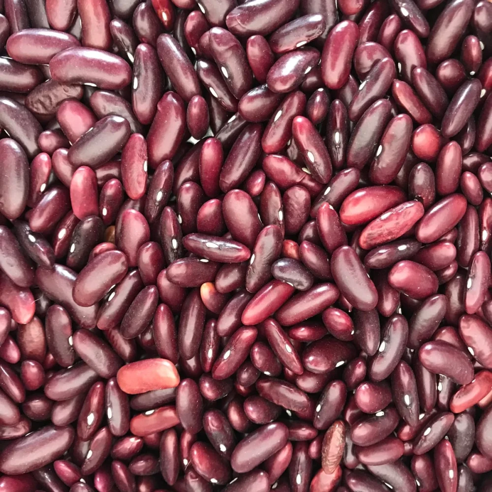 Red Kidney Beans (Rajma) 500gm